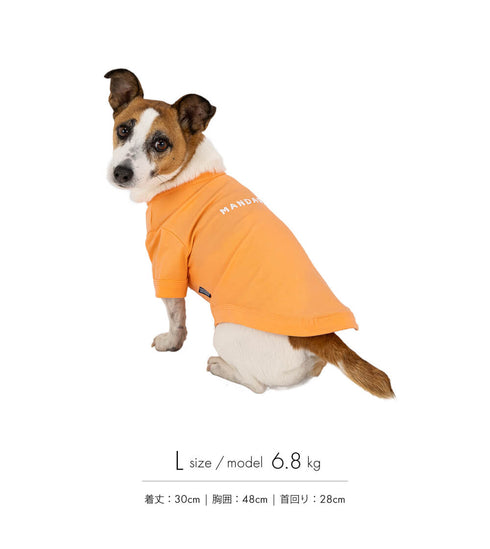 MANDARINE BROTHERS クールカクテルTシャツ/COOL COCKTAIL T-SHIRT